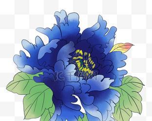 蓝色牡丹花的寓意是什么？蓝色牡丹代表什么？