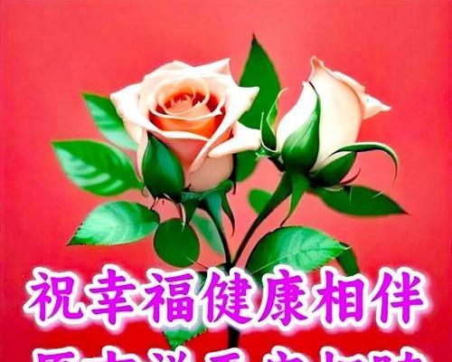 送什么花祝贺老人身体健康？花语中有哪些祝福？