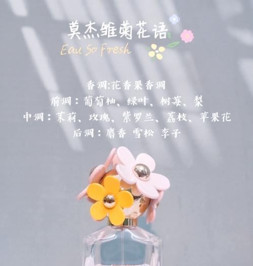 橘色小雏菊代表什么？花语有哪些含义？