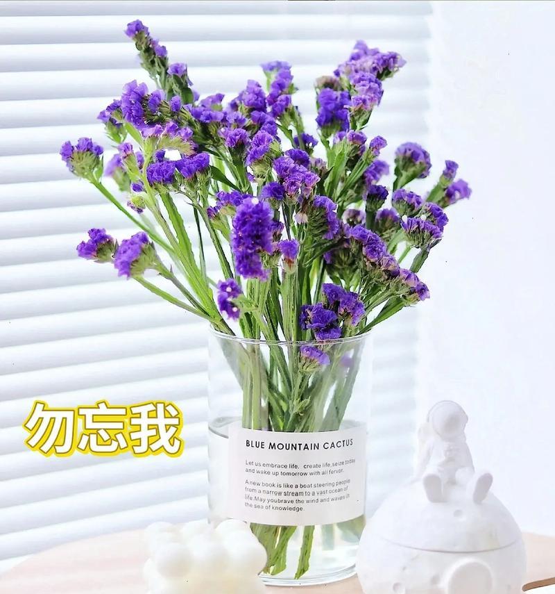 勿忘我的花语是什么？它象征着怎样的情感？