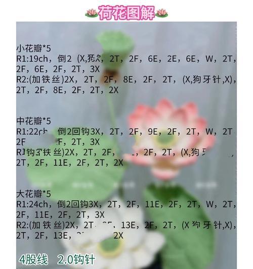 荷花在6月的花语是什么？它象征着什么？