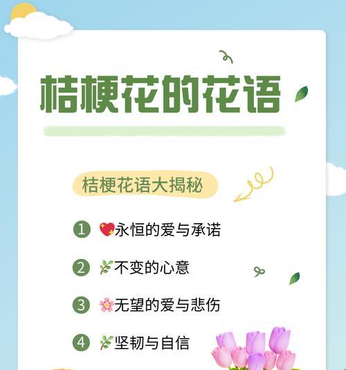 永恒的爱花的花语是什么？它代表了怎样的情感？