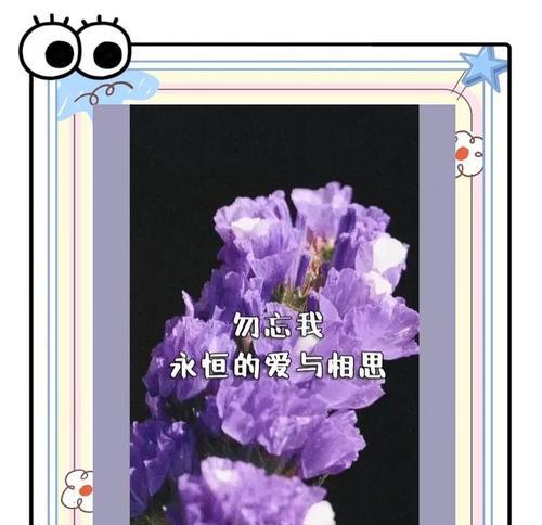 永恒的爱花的花语是什么？它代表了怎样的情感？