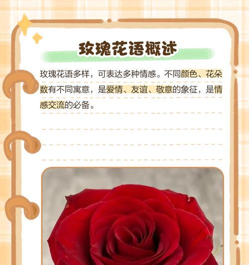 闪耀玫瑰的花语是什么？如何表达爱意？