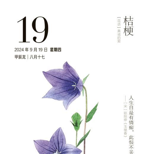 哪些花是最常见的？它们各自的花语是什么？