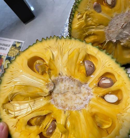 菠萝蜜的花语有哪些？它在花语中代表什么？