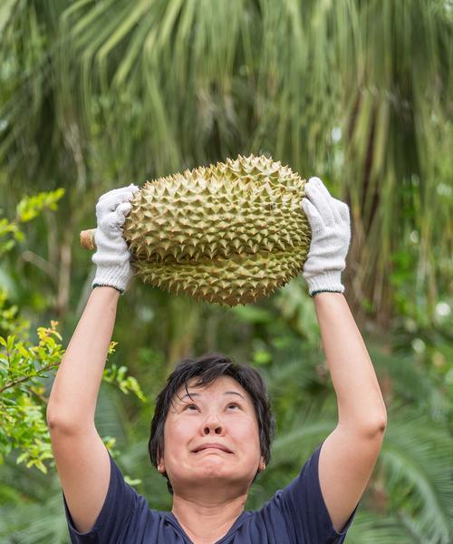 菠萝蜜的花语有哪些？它在花语中代表什么？
