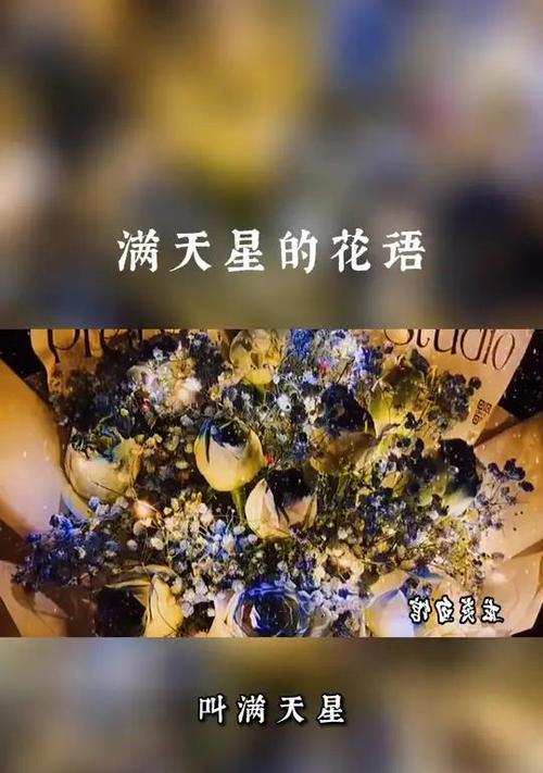 满天星小花束的花语是什么？它如何表达情感？