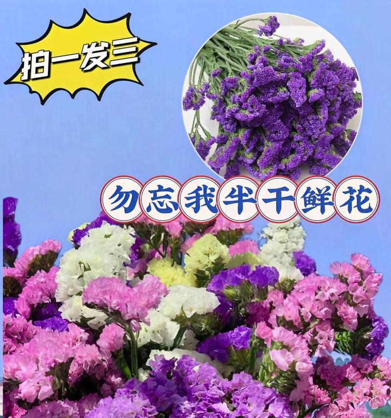 勿忘我花的花语是什么？勿忘我代表永恒吗？