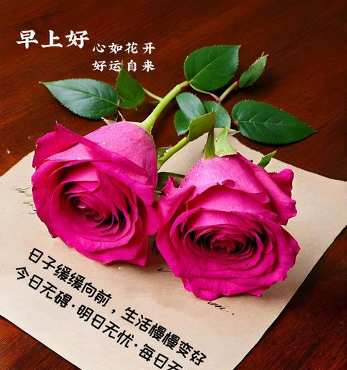 生命的绿花花语是什么？绿花有何寓意？