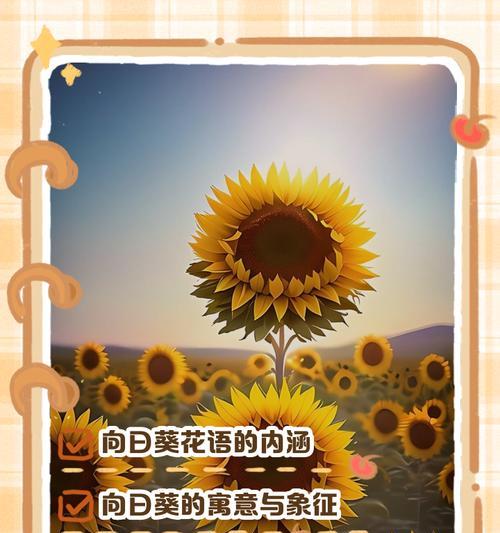 向日葵的悲伤花语是什么？它有什么特别含义？