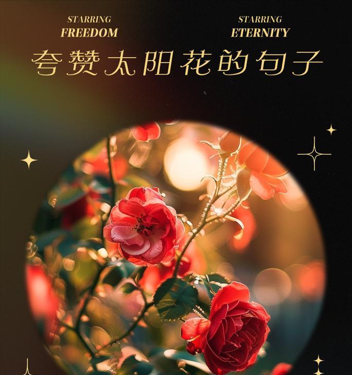 向日葵的悲伤花语是什么？它有什么特别含义？