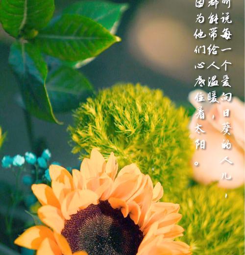 向日葵的悲伤花语是什么？它有什么特别含义？