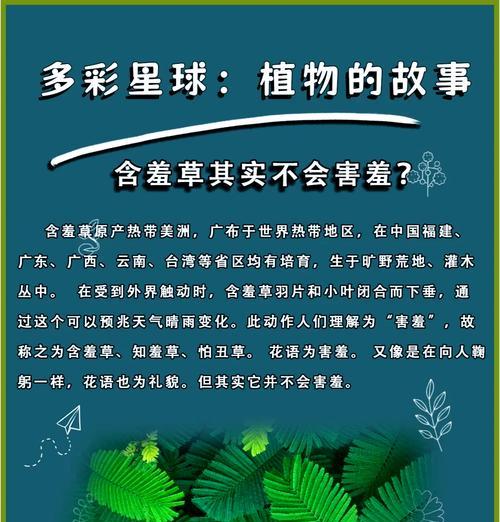 含羞草的花语有哪些？它的特点是什么？