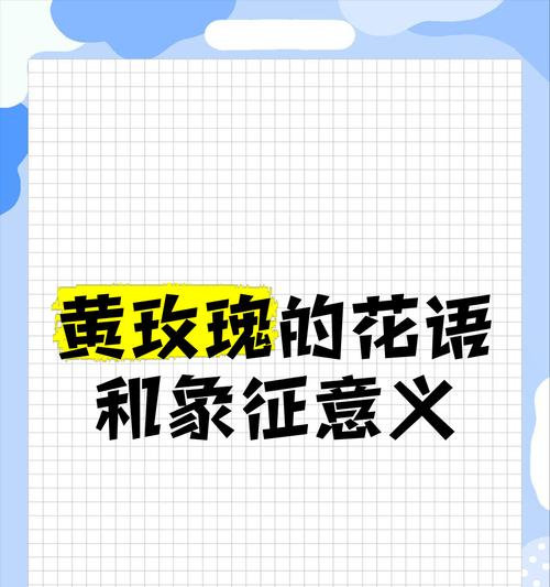 玫瑰花的花语有哪些小故事？它们代表什么？
