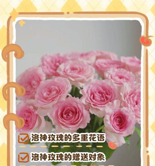 玫瑰花的花语有哪些小故事？它们代表什么？