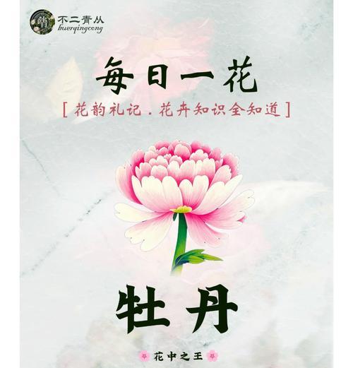 月牡丹的花语有哪些？它代表了什么意义？
