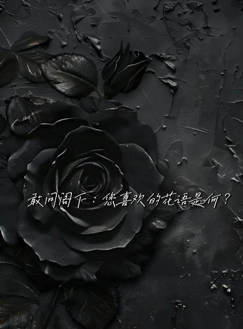 双色花边玫瑰的花语是什么？它有何特别之处？