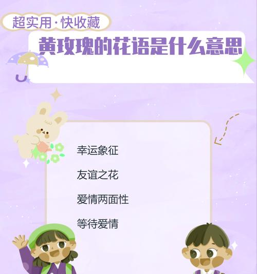 黄玫瑰与菊花的花语有何不同？