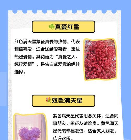 满天星花语与六一儿童节有何关联？