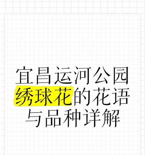 绣球花的花语是什么？绣球花寓意着什么？