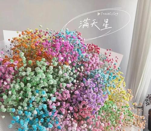 满天星的花语代表什么？满意满天星有何特别含义？