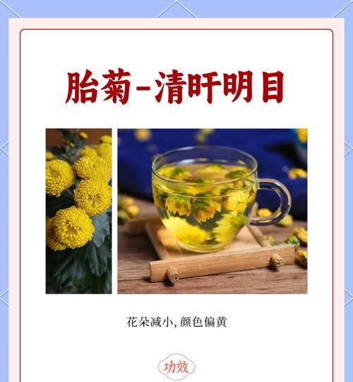 所有菊花的品种有哪些？如何区分不同的菊花品种？