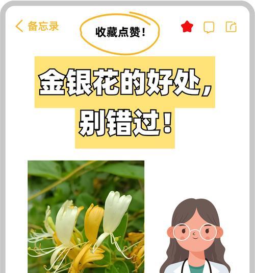 金银花的浇水技巧？如何正确浇水促进金银花生长？