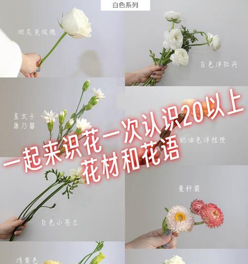 果子蔓的正确养护方法是什么？需要注意什么？