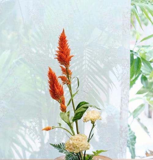 水晶草插花技巧有哪些？