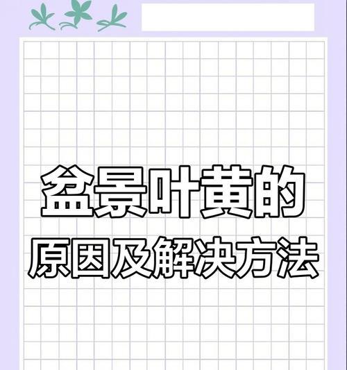 盆景叶子发黄的处理方法是什么？