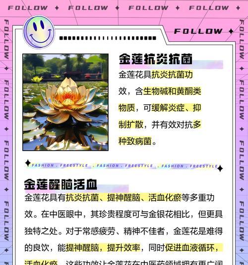 金荷兰花的养护要点有哪些？
