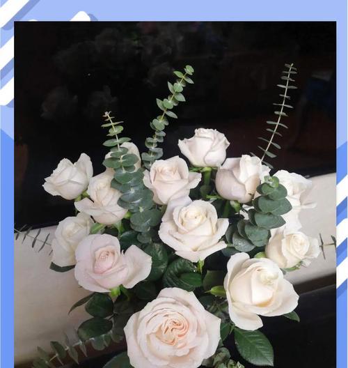 玫瑰花束的养护和保鲜技巧？