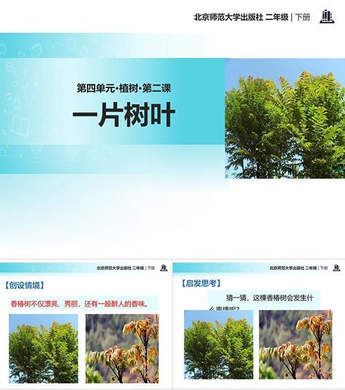 树叶怎么处理？环保又实用的树叶处理方法有哪些？
