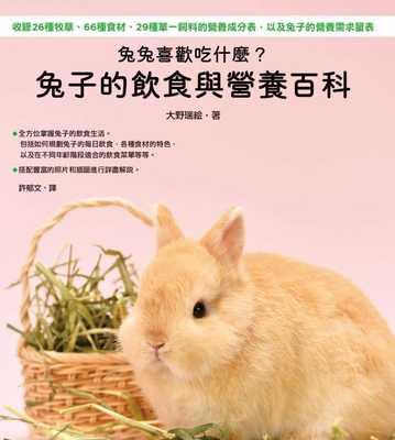 黑兔子的饲养环境和饮食管理要点是什么？