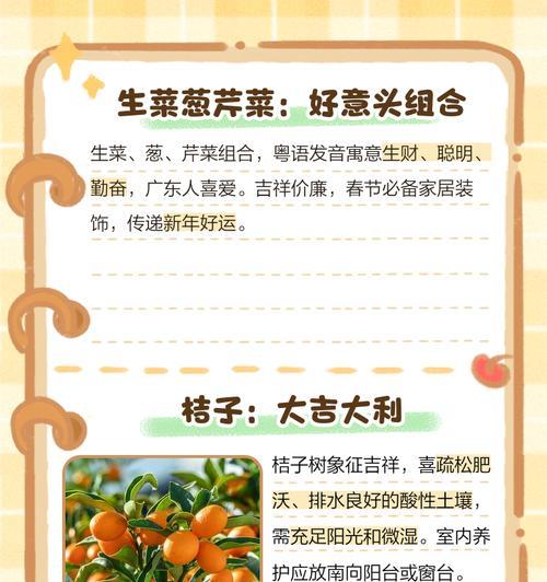 花的品种有哪些寓意？