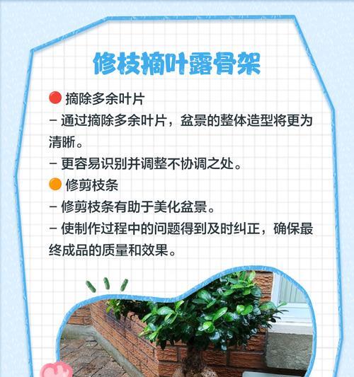 盆景怎么造型？盆景造型的技巧和步骤是什么？