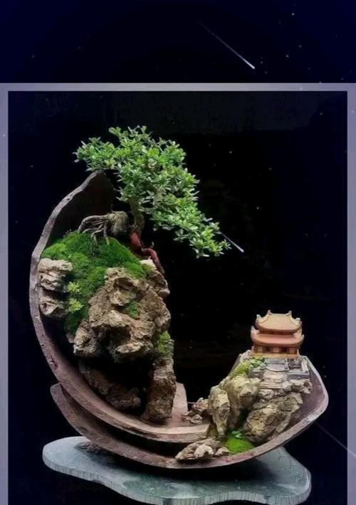 盆景怎么造型？盆景造型的技巧和步骤是什么？