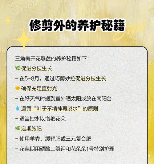 三角梅修剪的最佳时间和方法是什么？