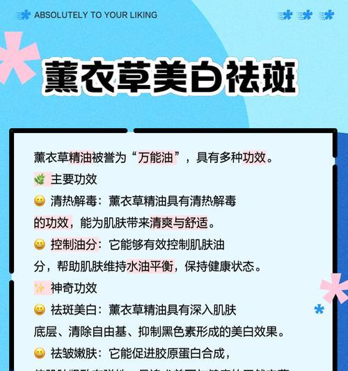 熏衣草种植的技巧有哪些？如何保持其香气？