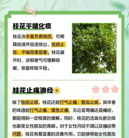 桂花剪枝的正确方法是什么？桂花剪枝有哪些好处？
