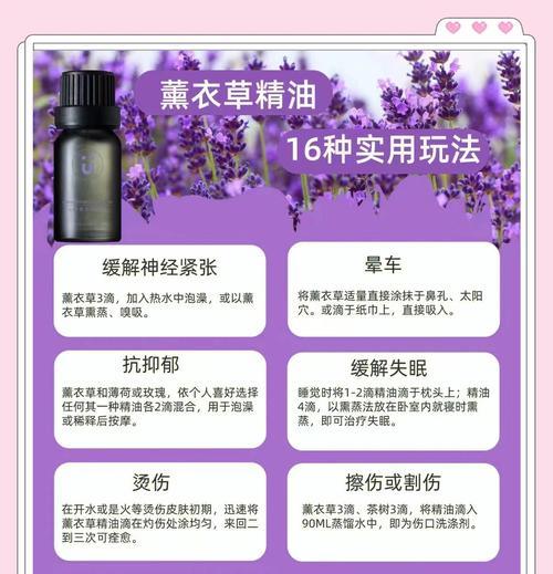 薰衣草冬季如何护理？过冬时薰衣草的养护技巧是什么？