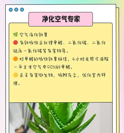 芦荟盆栽的养殖方法有哪些？
