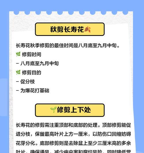 长寿花移栽的最佳时机是什么时候？移栽后如何护理？