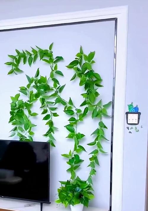绿萝缠绕技巧有哪些？