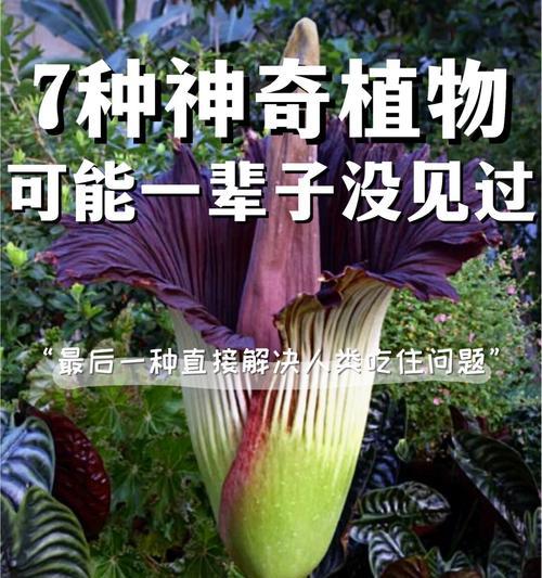 海里生长的草本植物有哪些？
