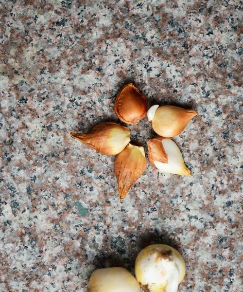 郁金香误食中毒后应如何处理？