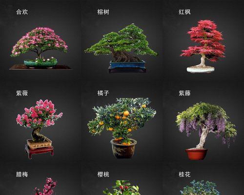 合欢树种植方法是什么？