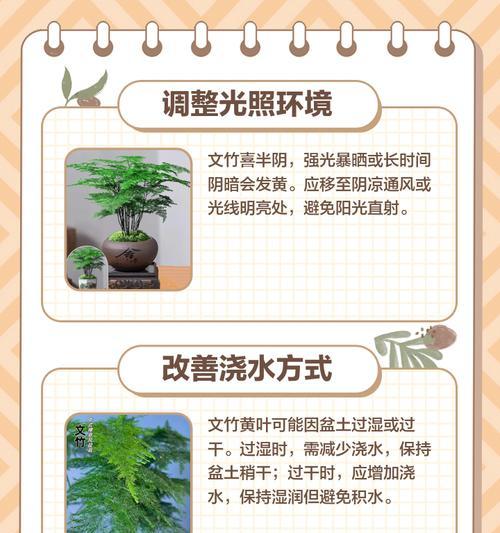 文竹分盆的最佳时机是什么时候？步骤是怎样的？