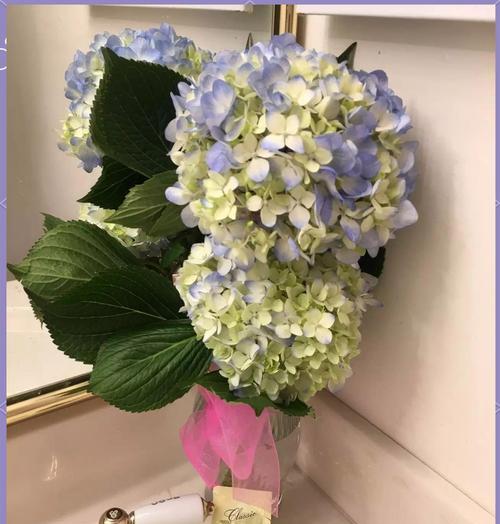 水中添加什么物质对植物生长有益？